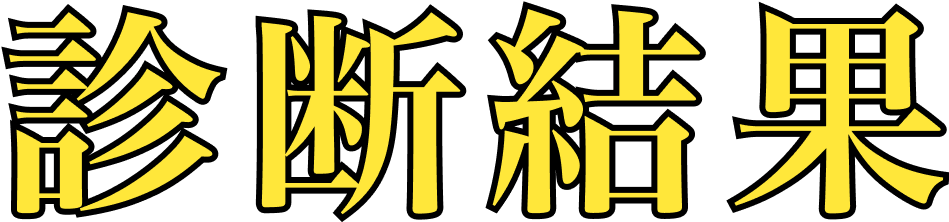 診断結果